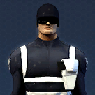 S.H.I.E.L.D. Agent